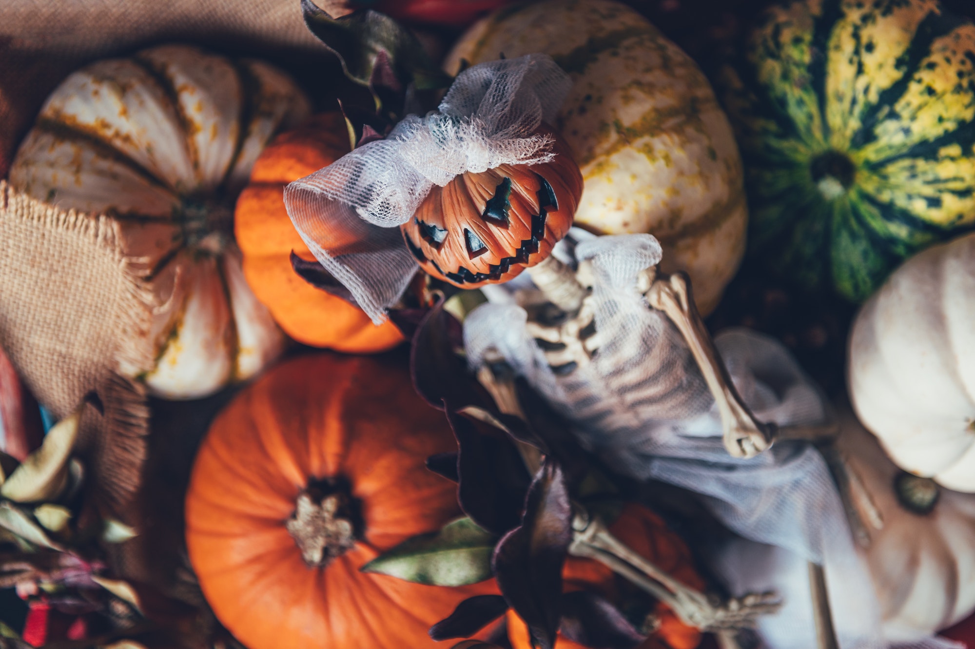 Pumpkins and skeleton pumpkin bride