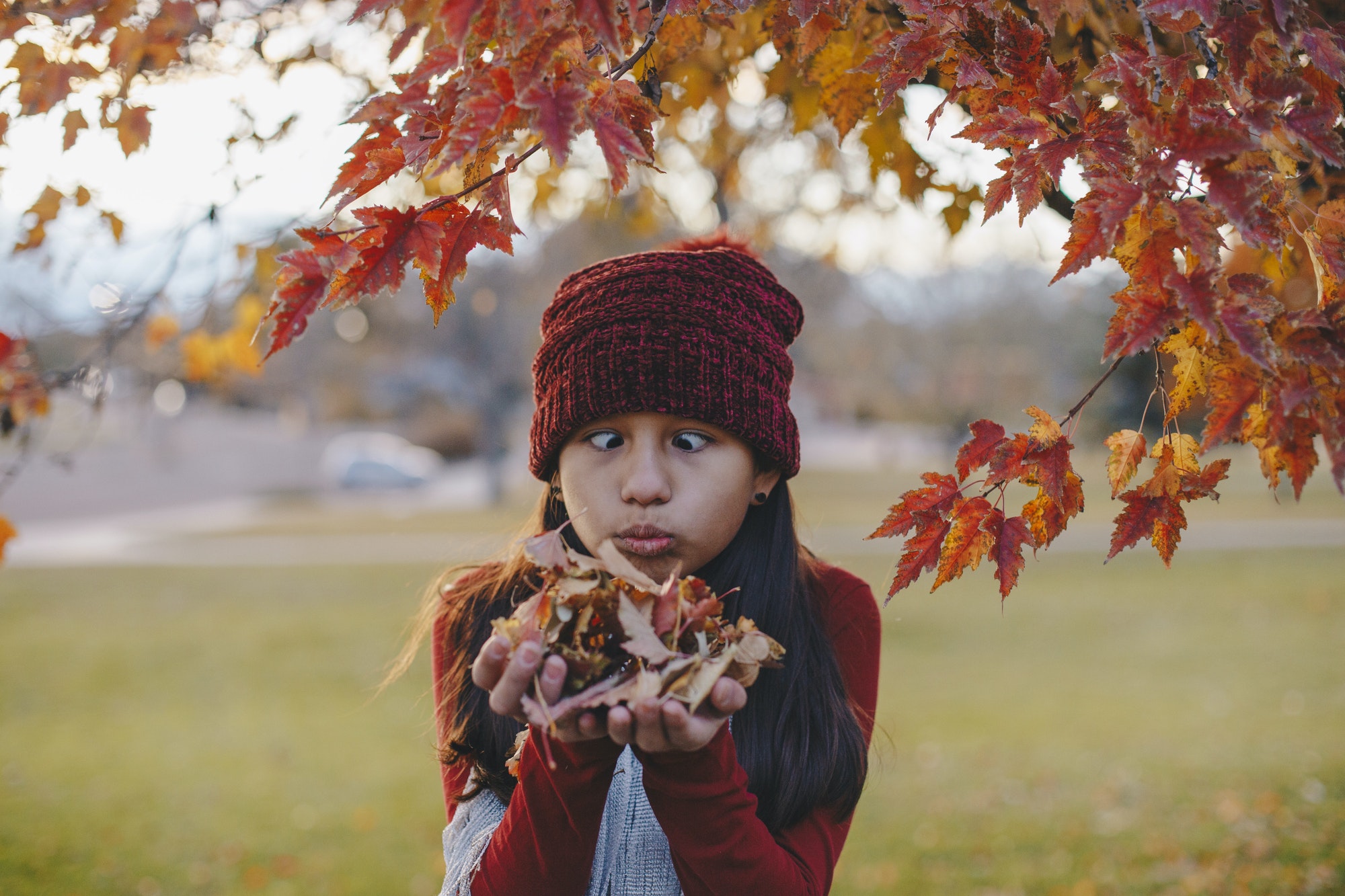 Young girl holding autumn leaves and making a funny face